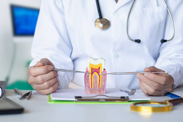 Best After-Hours Emergency Dentist in Petersburg, VA